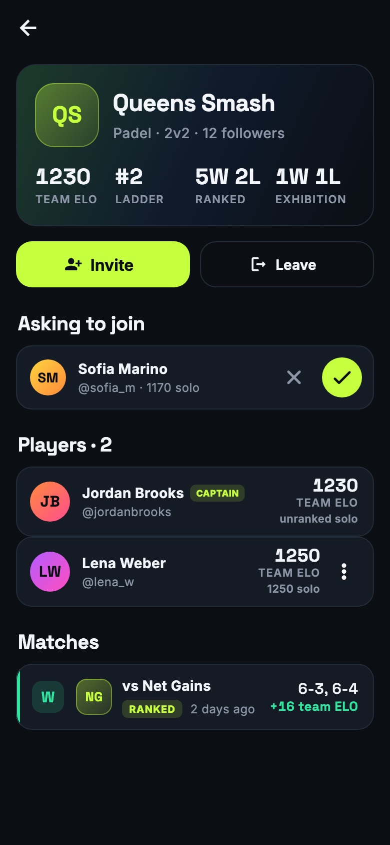 A team page with members and record